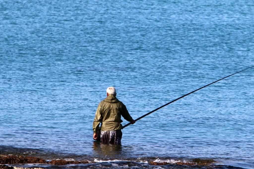 Catching fish in the lake