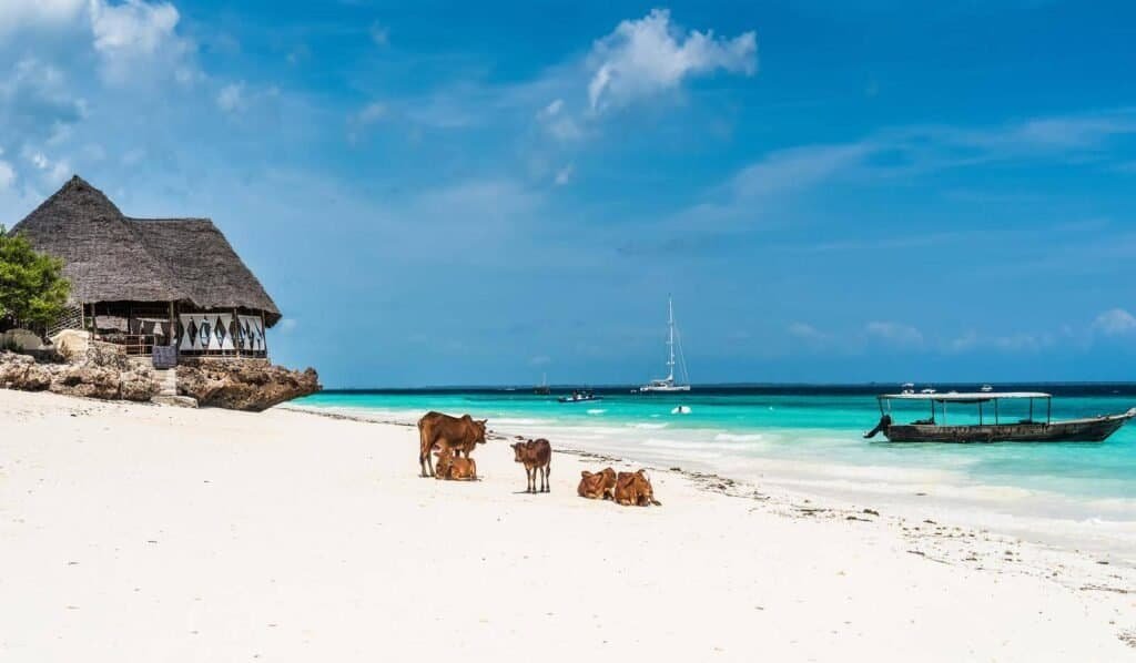 Zanzibar Beaches