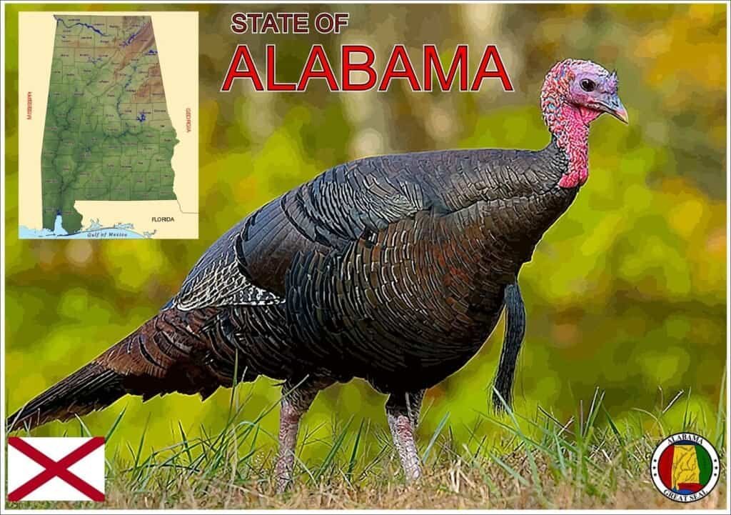 Alabama bird map emblem