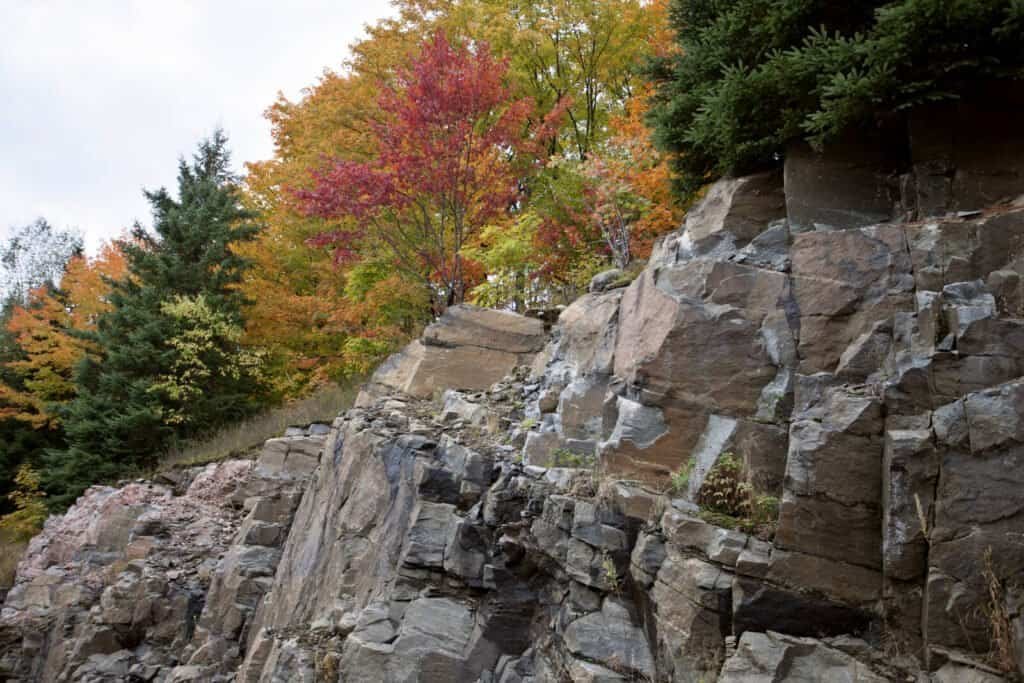 Algonquin Park Muskoka Ontario