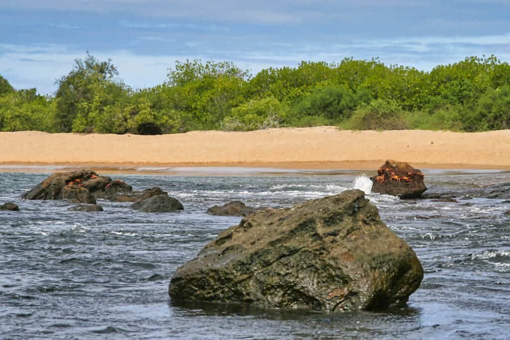 Galápagos